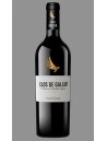 Red Wine Clos de Gallur | Shipping throughout Spain and Europe