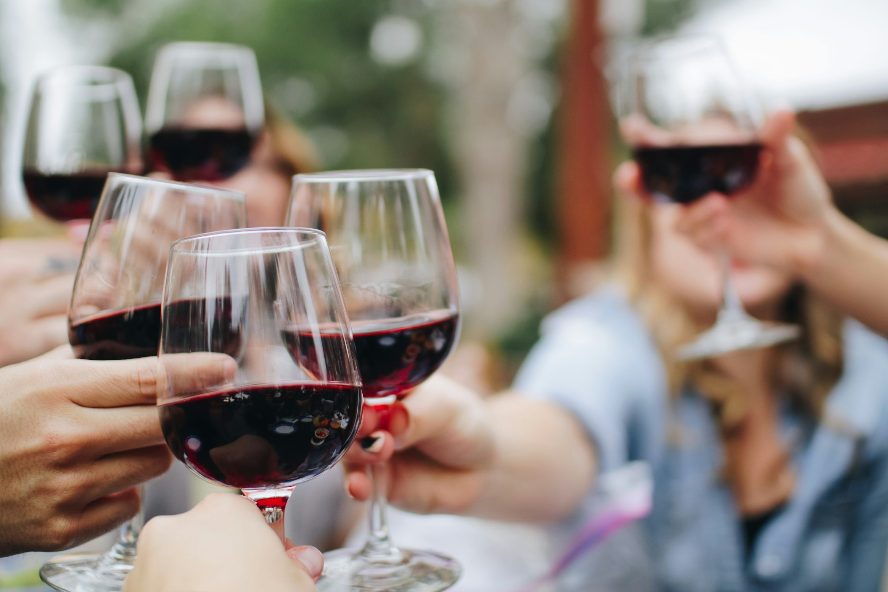 Los 10 Mejores Vinos Tintos Españoles de 2025: Una Selección de Excelencia
