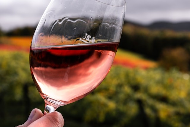 El Encanto del Vino Rosado: Guía Completa para Disfrutarlo